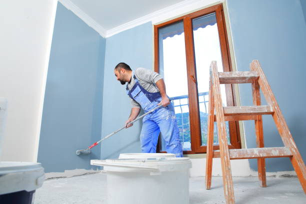 Best Black Mold Removal  in Tolleson, AZ