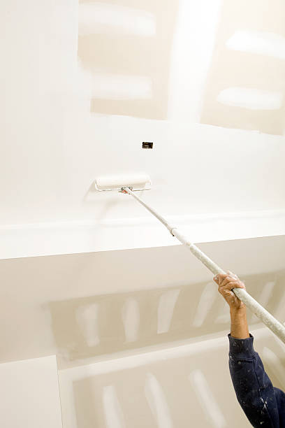 Best Commercial Mold Inspection  in Tolleson, AZ